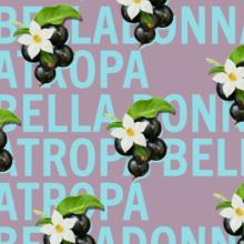 Atropa Belladonna