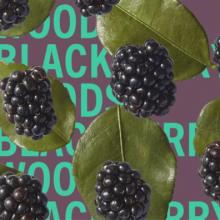 Blackberry Woods 